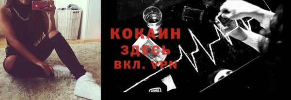 круглые Тайга